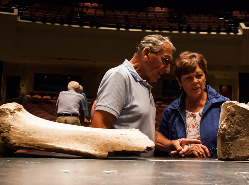 Two museum patrons gaze at Dinosaur bones