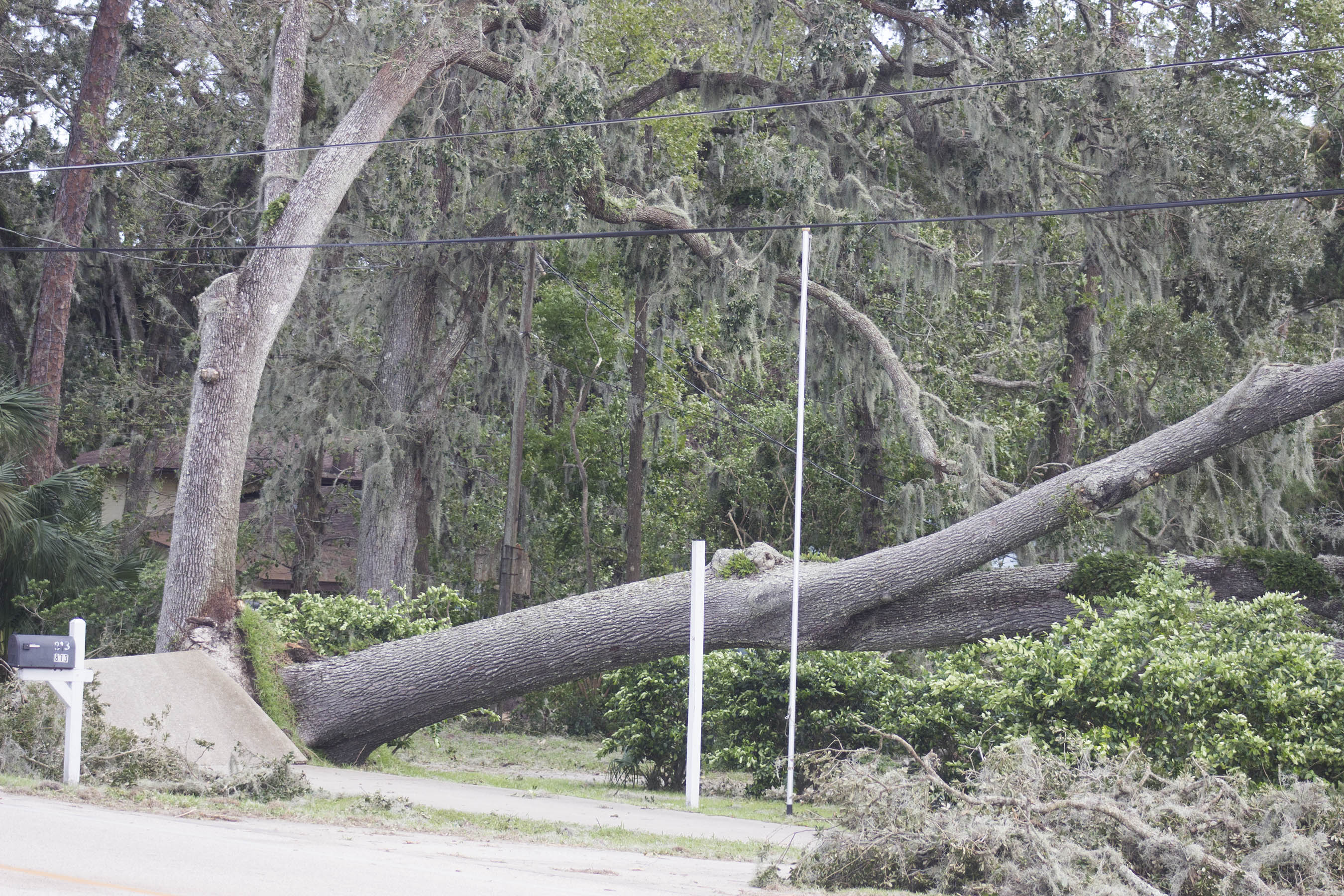 Centerspread - Hurricane matthew